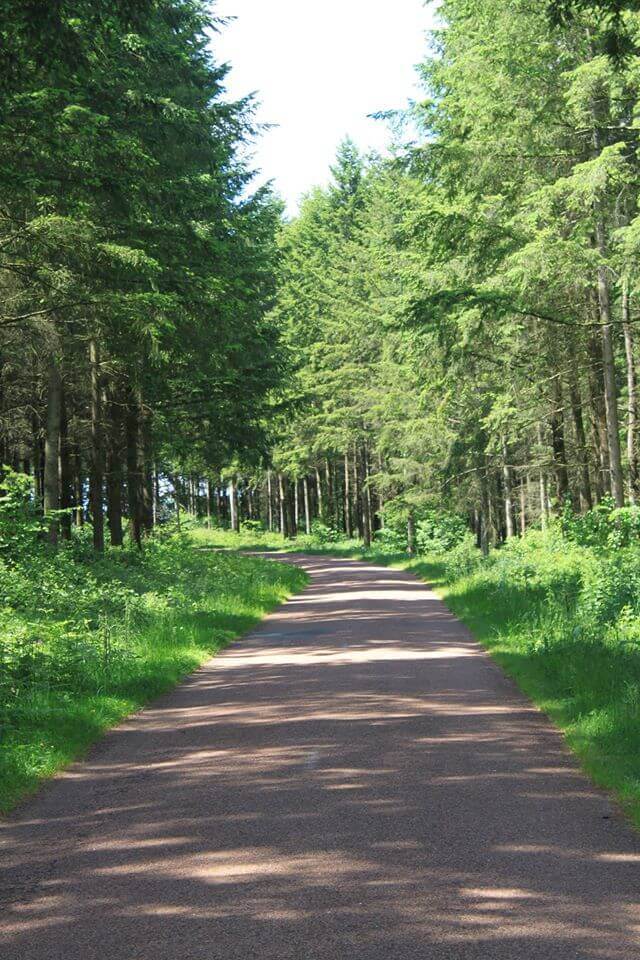 Burgundy, Road to the Morvan